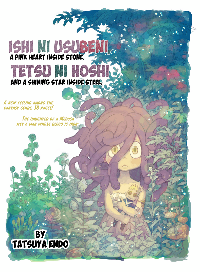 Ishi ni Usubeni, Tetsu ni Hoshi manga